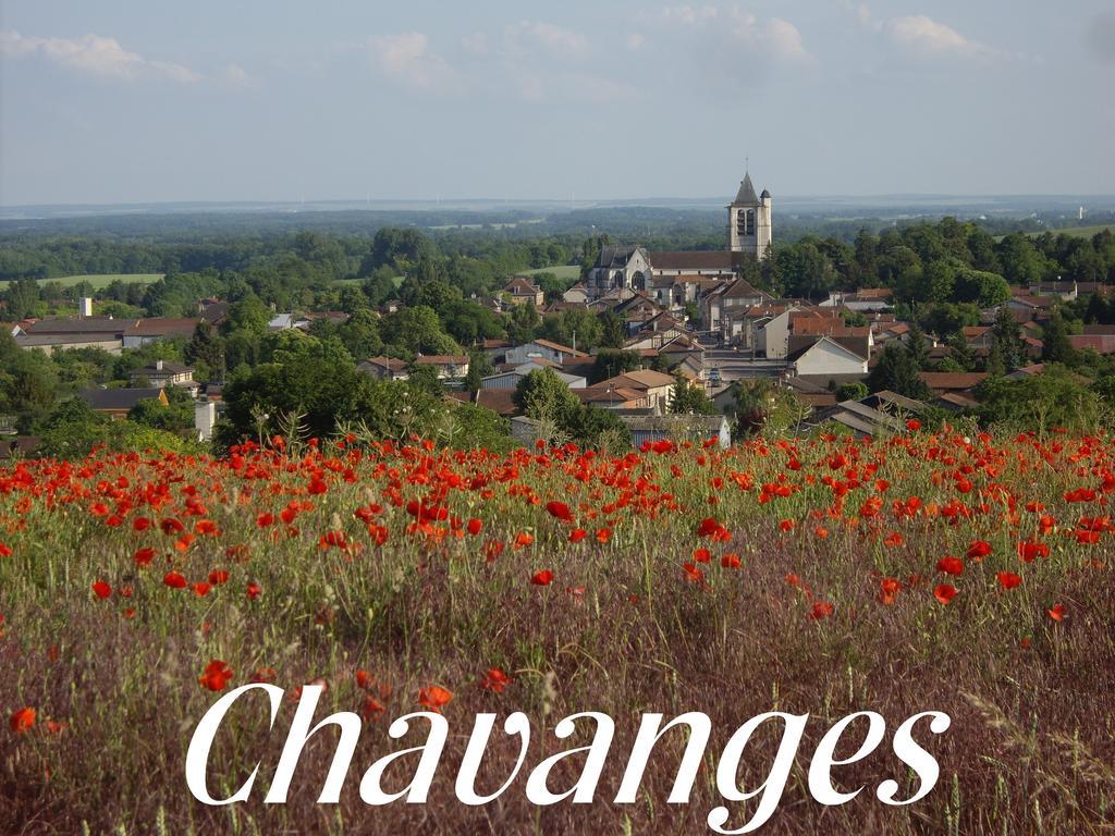 Chavanges Meuble De Tourisme Le Gilliard 빌라 객실 사진